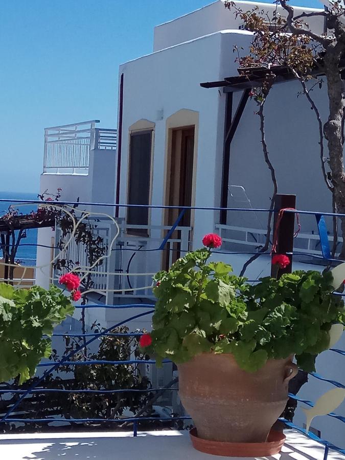 Villa Diktynna Hersonissos  Exterior photo