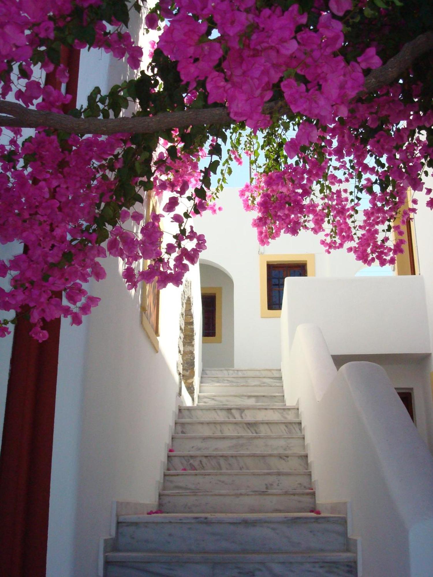 Villa Diktynna Hersonissos  Exterior photo